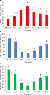 Phenolic profiles and antioxidant activity in different organs of Sinopodophyllum hexandrum